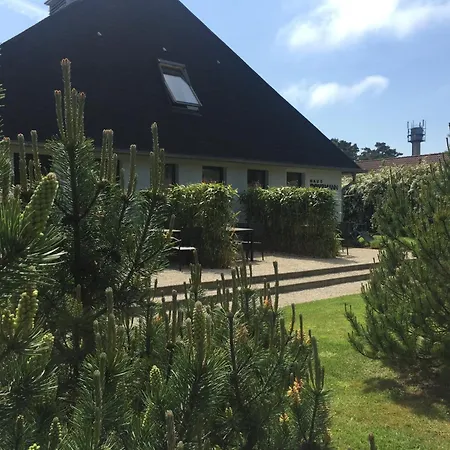 Apartment Haus Dohrmann - Mit Direktem Strandzugang,moderne, Ruhig Gelegene Mit Terrasse Binz