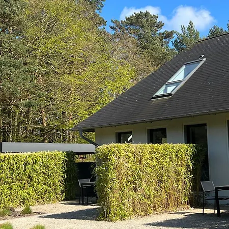 Haus Dohrmann - Mit Direktem Strandzugang,moderne, Ruhig Gelegene Mit Terrasse Apartment