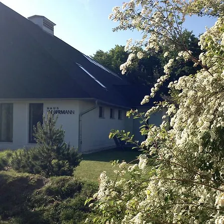 Haus Dohrmann - Mit Direktem Strandzugang,moderne, Ruhig Gelegene Mit Terrasse Apartment *